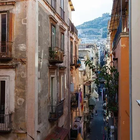 Don Pedro Vicere Di Toledo In The Center Guest house Naples